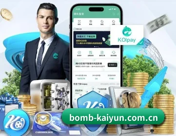 开云 APP 深度功能 | kaiyun